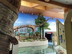 -延庆地质公园博物馆