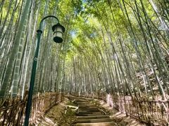 -杭州黄龙洞
