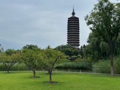-西海子公园