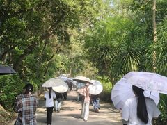 -广西壮族自治区药用植物园
