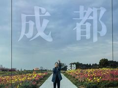 -空港花田景区
