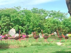 -上海鲜花港