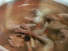 -东鸽皇(奥园·中环广场店)