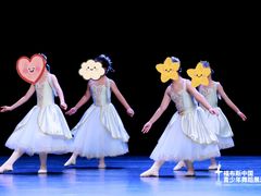 -星光舞蹈艺术中心•芭蕾舞•中国舞(太阳宫校区)