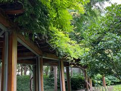 -徐家汇源景区-衡山公园