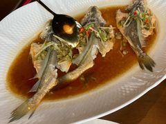 -荷风细雨·中国茶宴(碧云店)