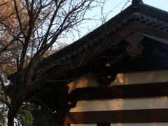-西湖风景区十里琅珰-五云山