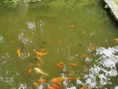 -南山植物园