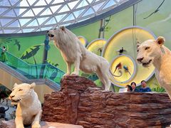 -陕西自然博物馆