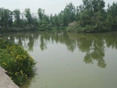 -白鹭湾湿地公园