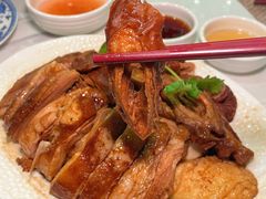 -金燕岛潮州酒楼