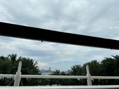 -彩丰楼中餐厅·早茶·点心·粤菜(海口华彩洲际酒店)