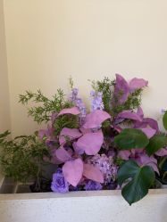 点击看大图 -头道汤头疗养生馆