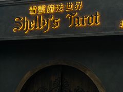 -雪灵魔法世界SHELLY’S TAROT(大良桂畔里店)