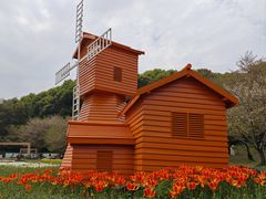 -苏州上方山国家森林公园