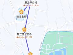 -碧江金楼
