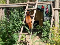 -鄂尔多斯野生动物园