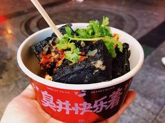 -黑色经典臭豆腐·长沙鲜食商店(坡子街店)
