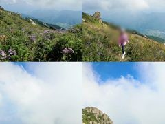 -白草畔自然风景区