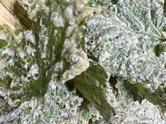 -土砂锅生态山庄·非遗砂锅雅鱼