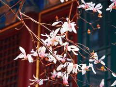 -潭柘寺景区