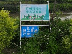 -大湾区中央湿地公园