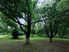 -堤角公园