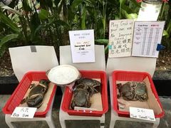 -龙海鲜螃蟹王(宏茂桥店)