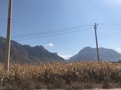 -蔡家酒楼(一德街店)