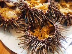 -海胆小馆(东北水饺·春柳店)