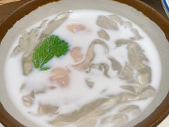 -佬肥猫(国华广场店)