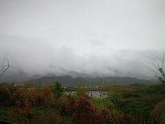 -桃花姐假日酒店·桃花潭土菜馆