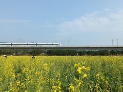 -光明小镇欢乐田园