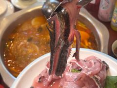 -大理.老字号渝记酸萝卜乌鱼(古城总店)