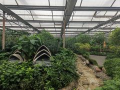 -南宫五洲植物乐园