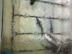 -姥家大锅台水库渔家
