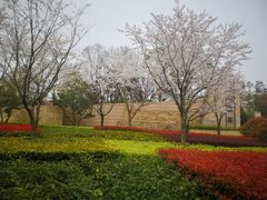 -上海佘山国家森林公园西佘山园