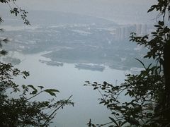 -铁山坪森林公园