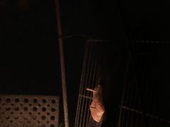 -JUJU韩式烤肉·干杯小酒馆