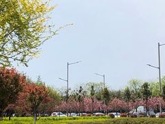 -洨河生态公园