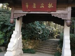 景点-杭州半山国家森林公园