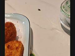 -褚小白·烧烤铜锅涮