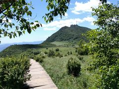 -白草畔自然风景区