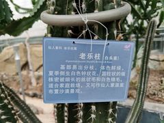 -南山植物园
