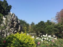 -人民公园(罗湖区)