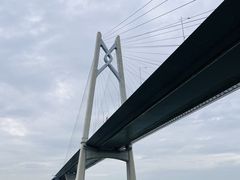 -招商蛇口邮轮母港(观光客运)