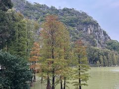 -星湖旅游景区七星岩