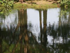 -旅马餐厅(茅家埠店)