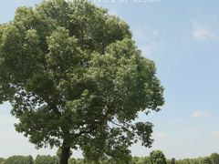 -山明水秀大饭店