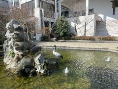 -广富林宰相府酒店·水云间